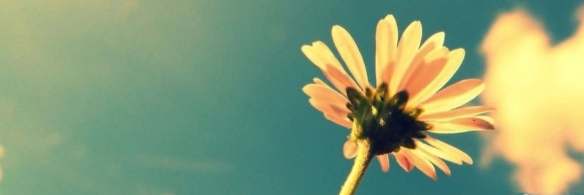 Kell 💍👨‍👩‍👦‍👦👶🏼 banner