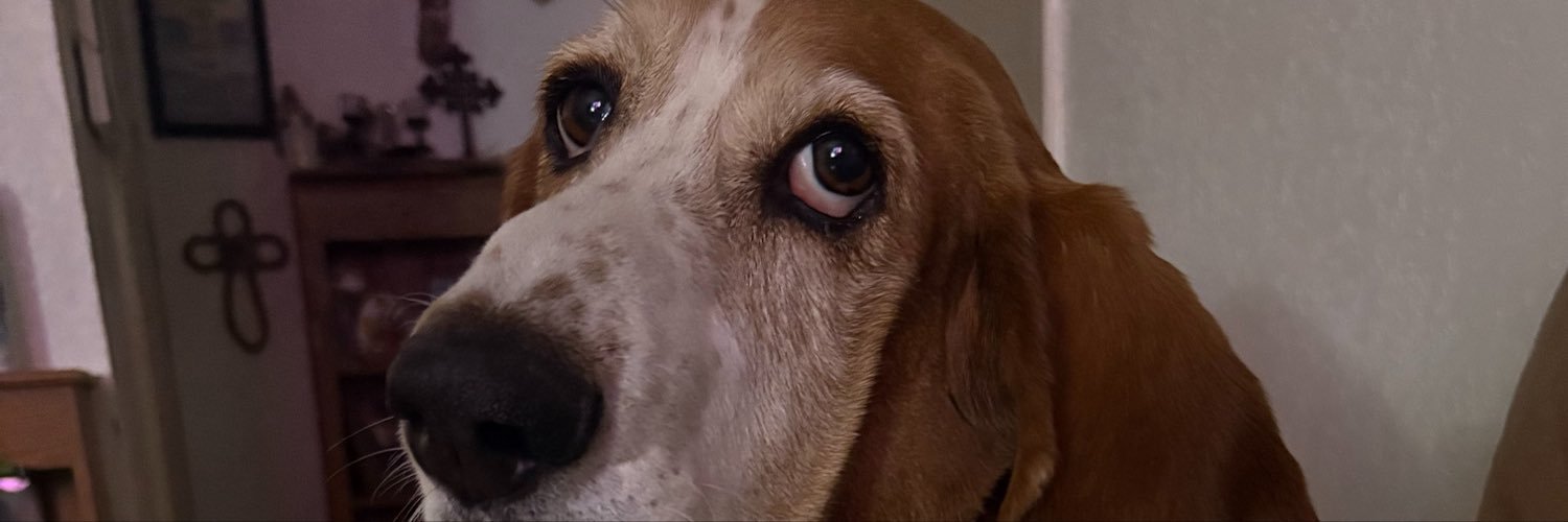 briiwii3's profile banner image