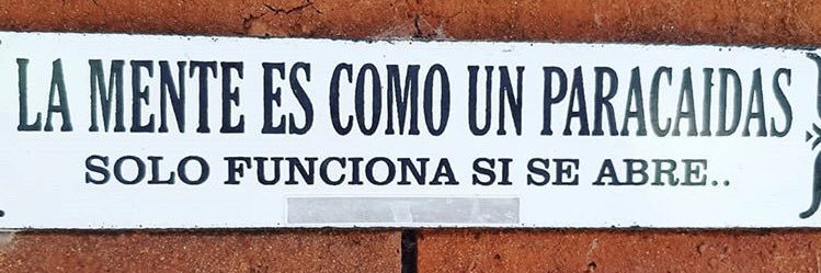 Francisca Florenzano banner