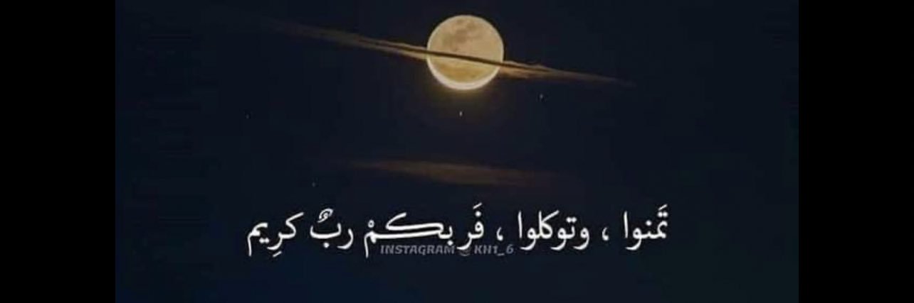 Nasser banner
