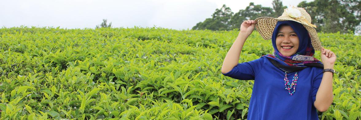 MetiaSembiring's profile banner image