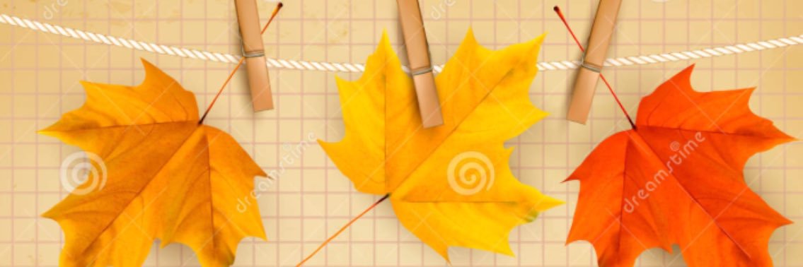 Caroline Gilbert banner