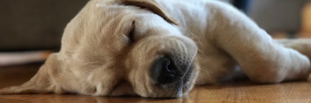 ChelseaWilson97's profile banner image