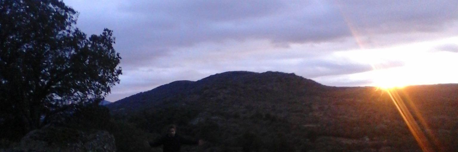 Sara banner