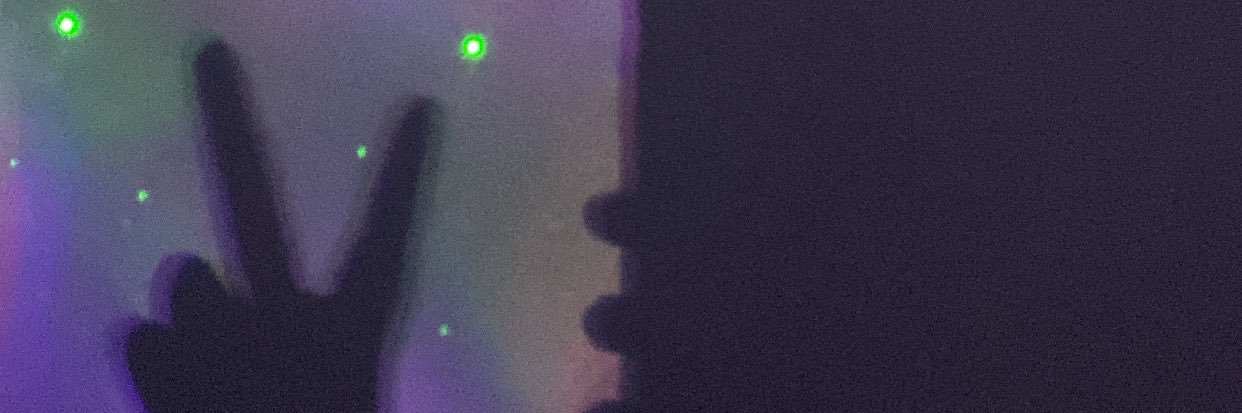 lizz_gonl's profile banner image