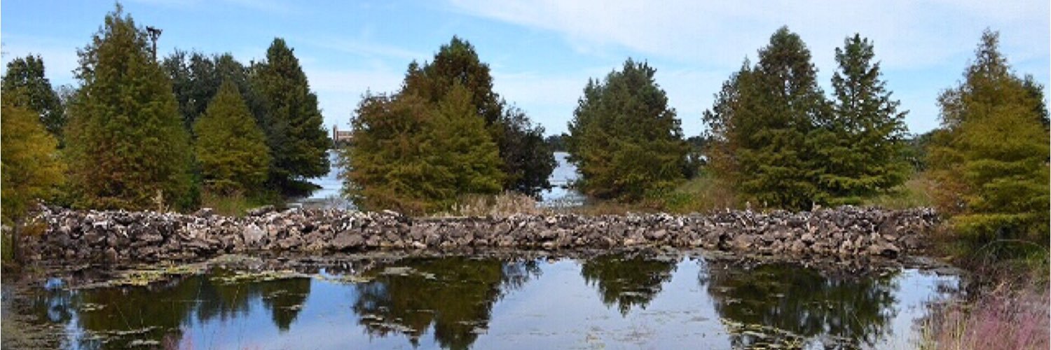 Tiffany Jones banner