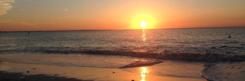 Steve_Janisse's profile banner image