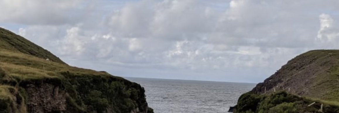cavajelly's profile banner image