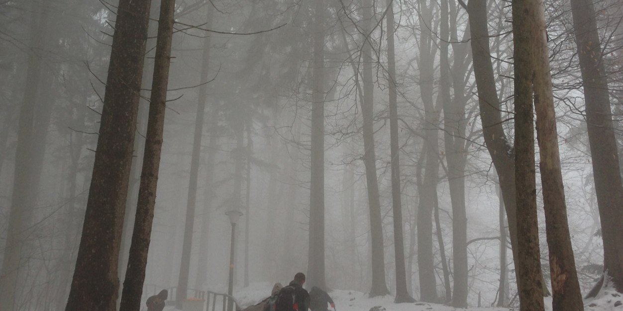 wail kinani III banner