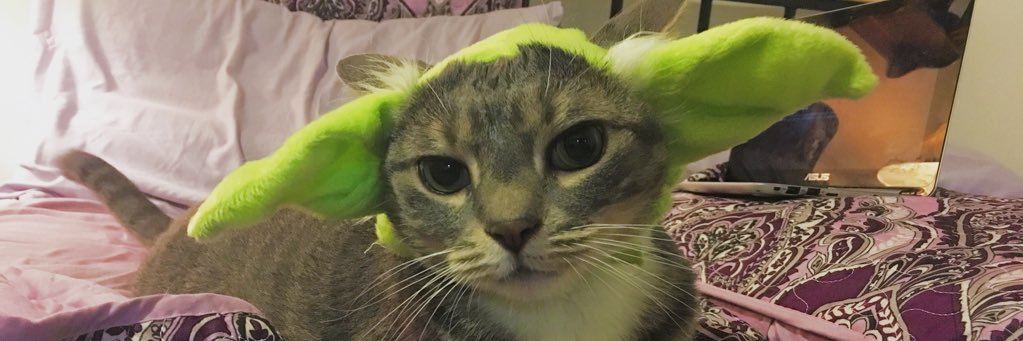 StephDeLucaaa's profile banner image