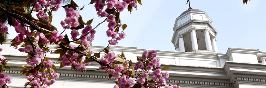 Admissions_MC's profile banner image