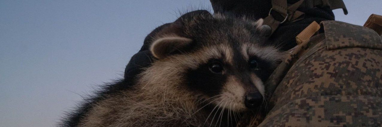 Alla Mironova 🇷🇺 banner