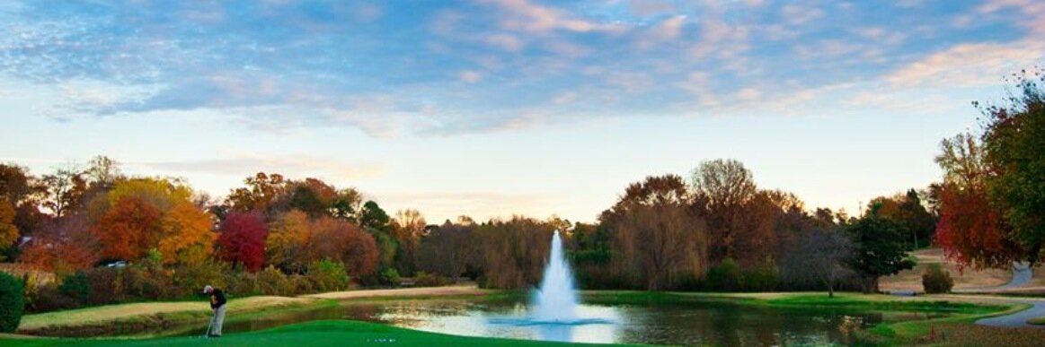 StarmountForest's profile banner image