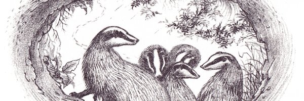 rizzlemethis's profile banner image
