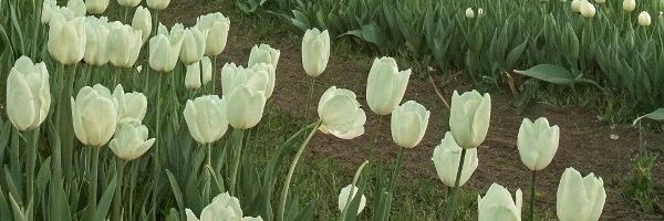 its_gbb Profile Banner