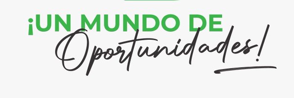 FeriaDeDavid Profile Banner