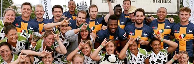 Lou Shoulder Meadows banner