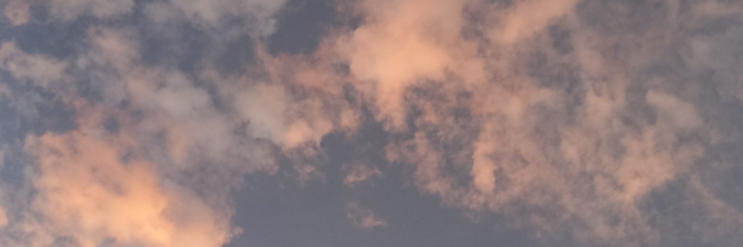 trsnaaaa's profile banner image