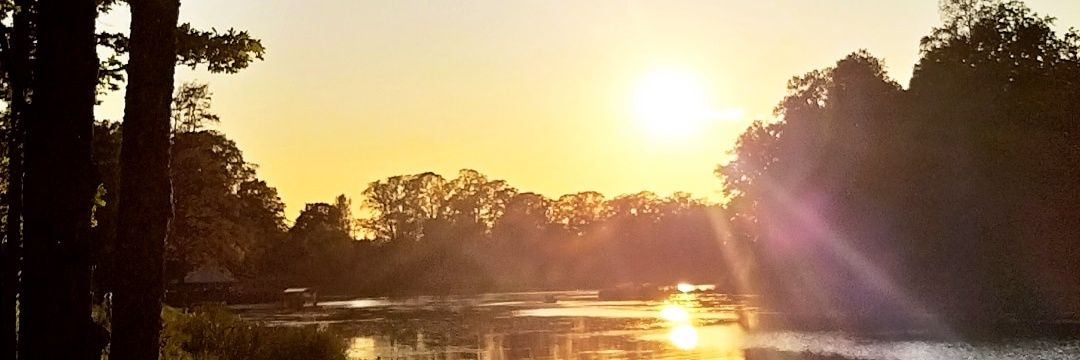 Radicalsuntan's profile banner image