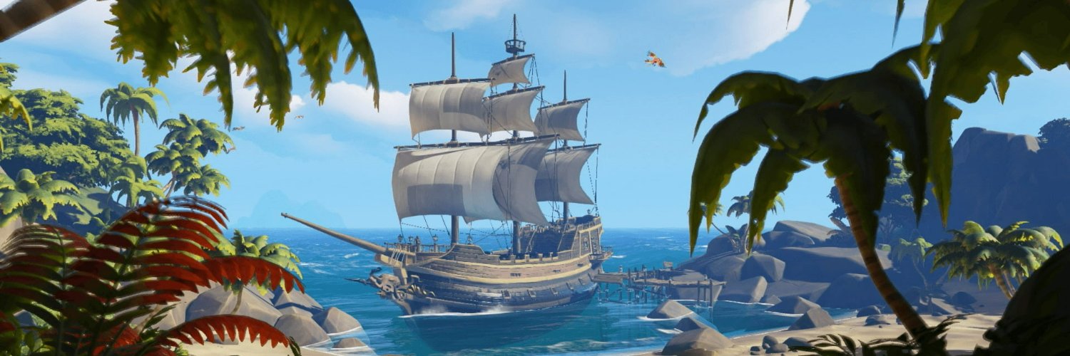carapuce des iles 🥥🌴 banner