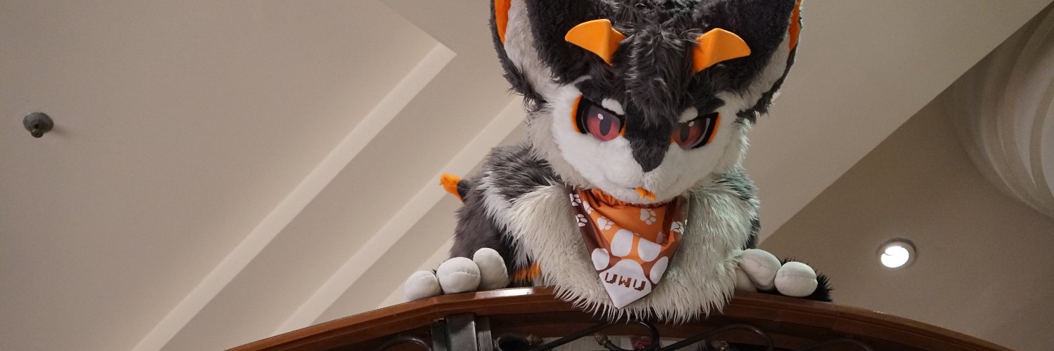 Cinder_Blaz3's profile banner image