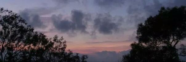 jasminytm's profile banner image