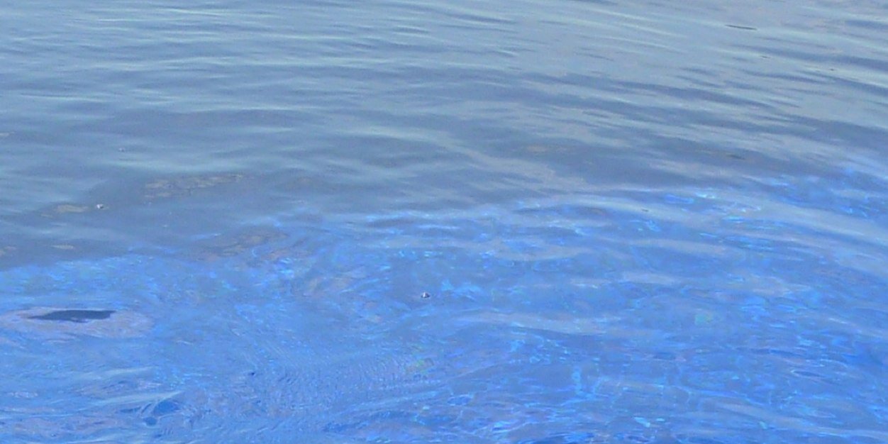 m_trussell's profile banner image