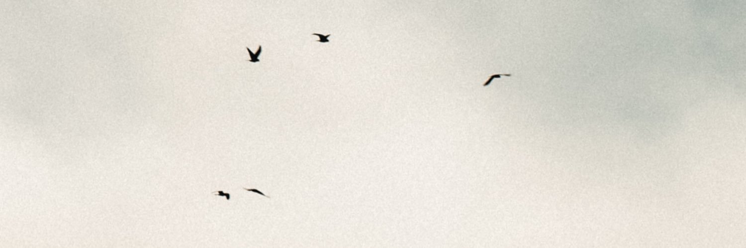 noom82's profile banner image