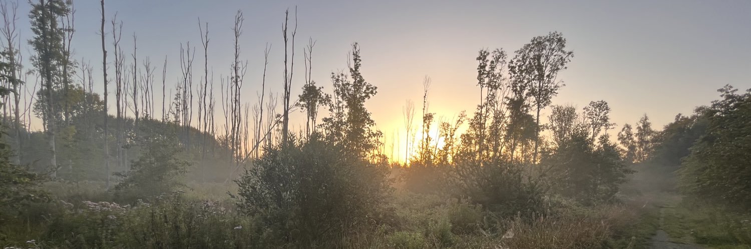 jvmookie's profile banner image