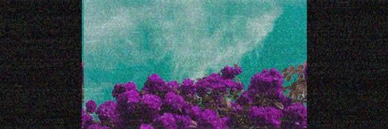 TashRousseau's profile banner image