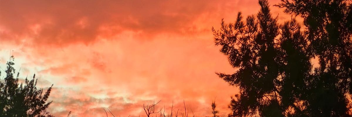 _Beasanta's profile banner image