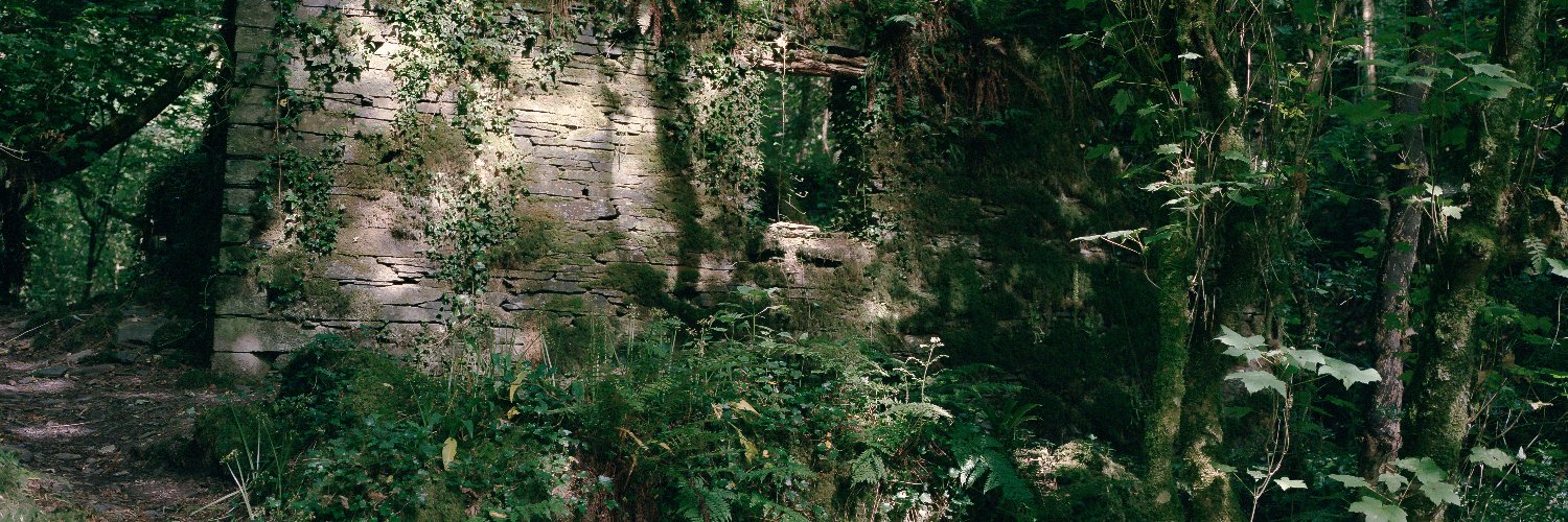 RickyJFJones's profile banner image