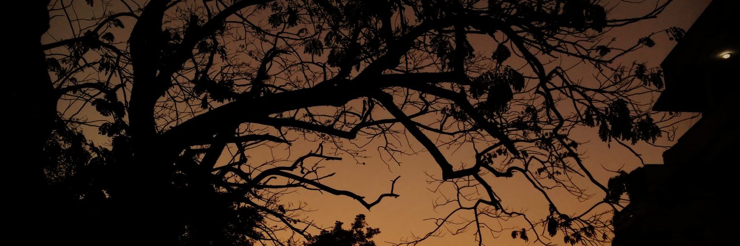 KevinReed96's profile banner image