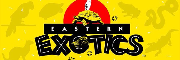 Eastern_Exotics Profile Banner