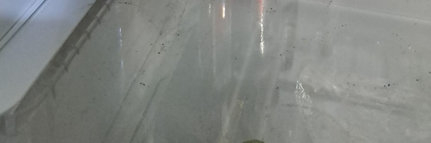 woneckbc's profile banner image