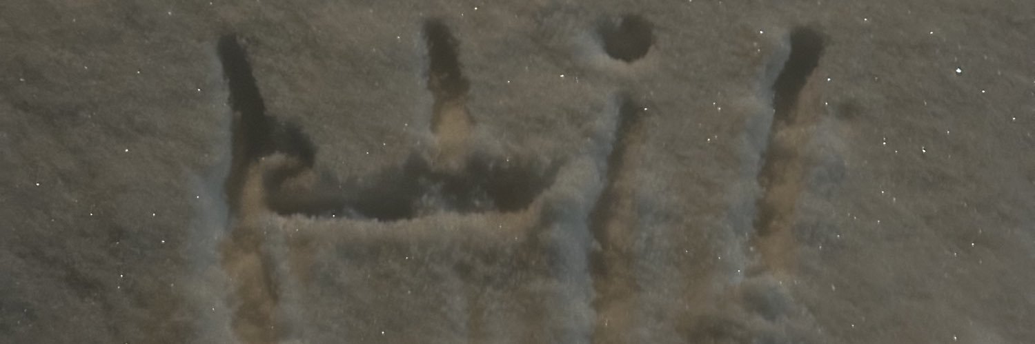 nikkimouseeeee's profile banner image