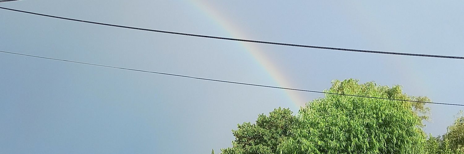 NicouPaez's profile banner image