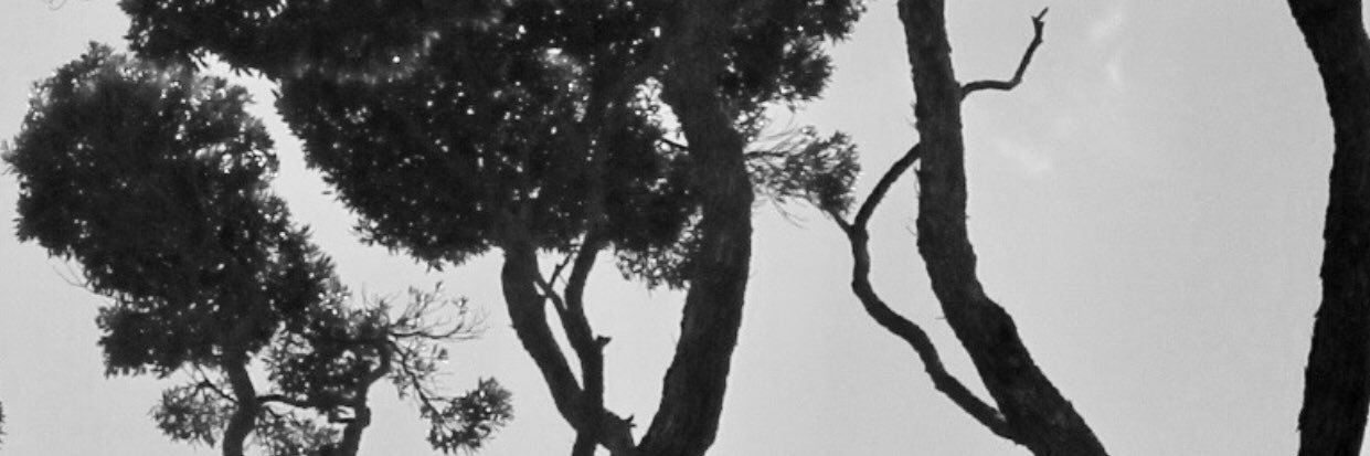 ap_layton's profile banner image
