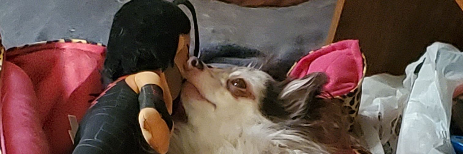 LilithloveRoman's profile banner image