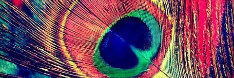 PoonamDeswal's profile banner image