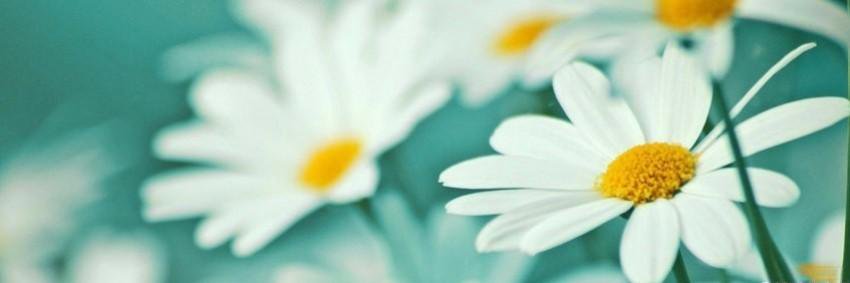 bri_milla's profile banner image