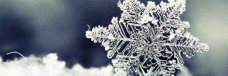 EvaSaezM's profile banner image