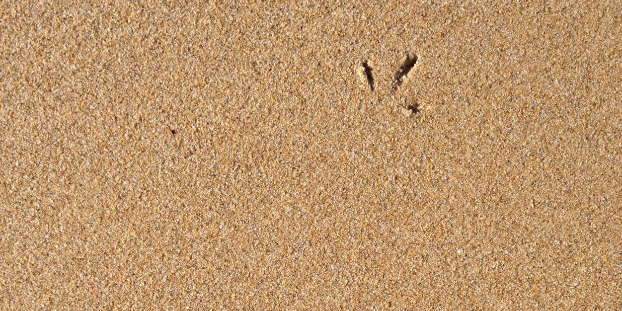 FrDumontVDR's profile banner image