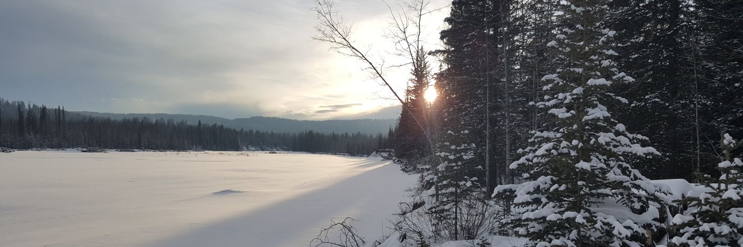 gboyko3's profile banner image