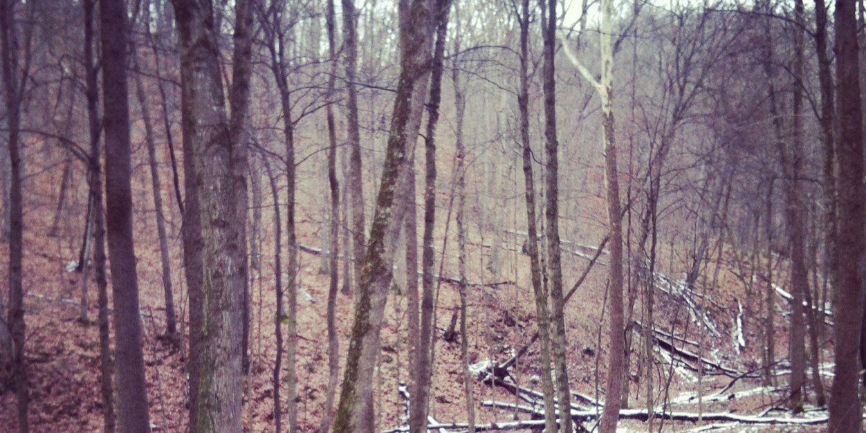 DrewFolts's profile banner image