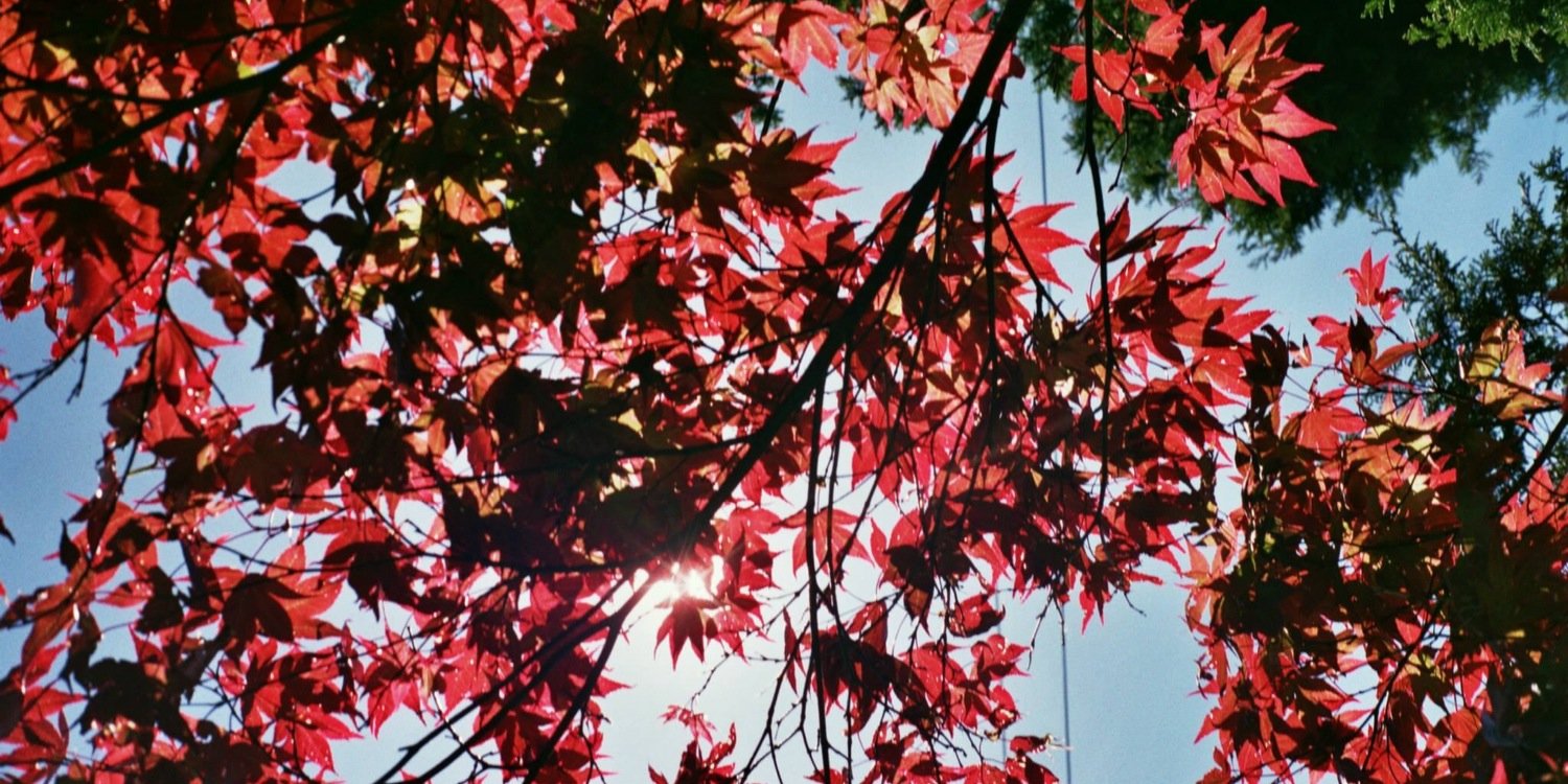 NickBromyard's profile banner image