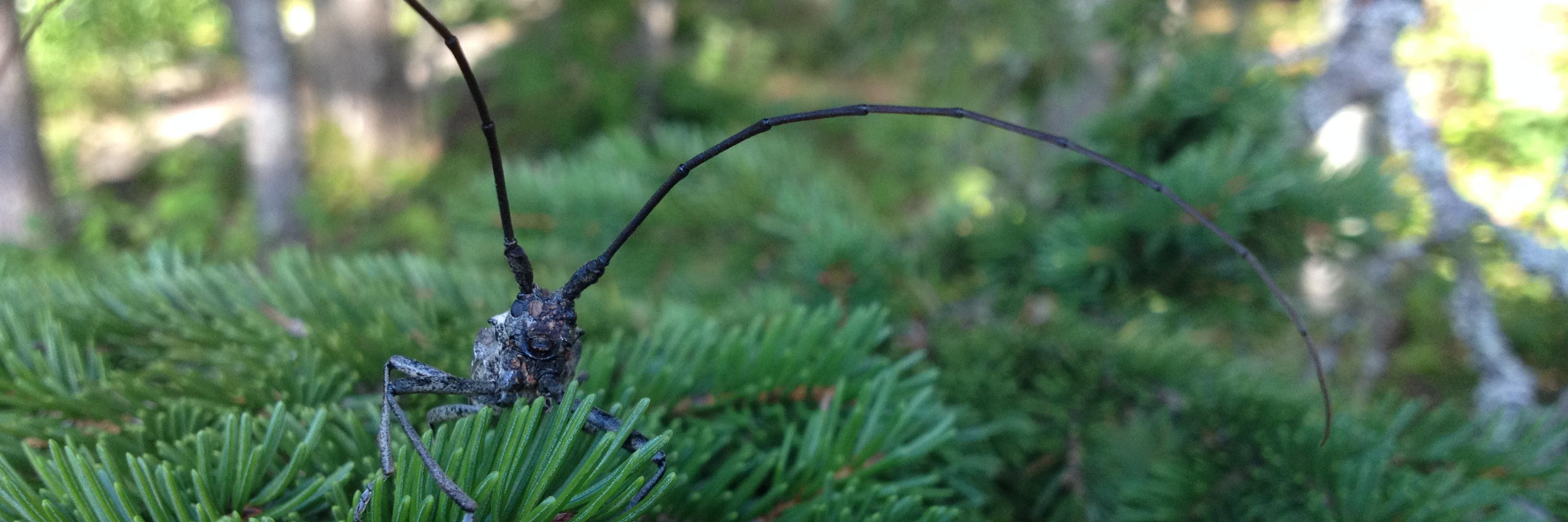 Dr. Todd D. Johnson banner