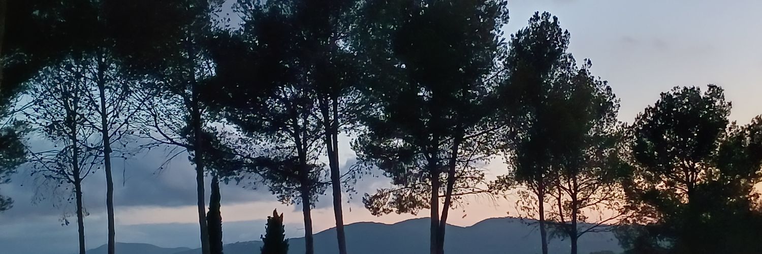 PascualSol's profile banner image