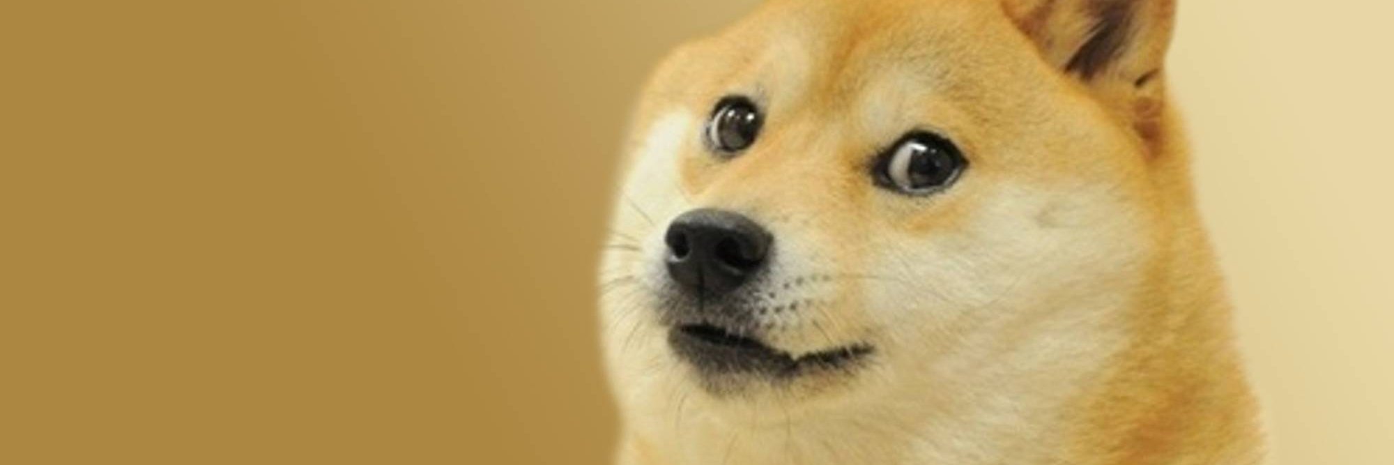 Stéffano Coelho #Arkanis banner