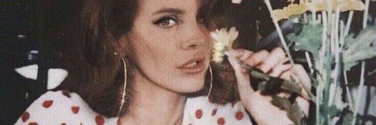 thaysazeredo's profile banner image
